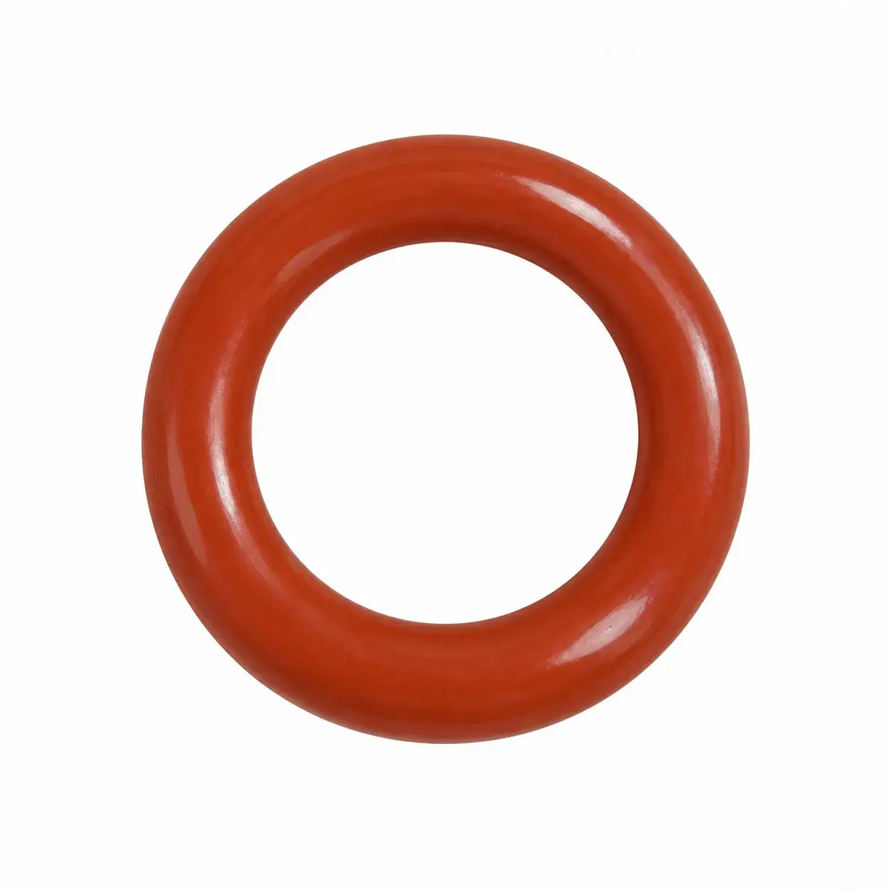 O-Ring EV 2025 252538