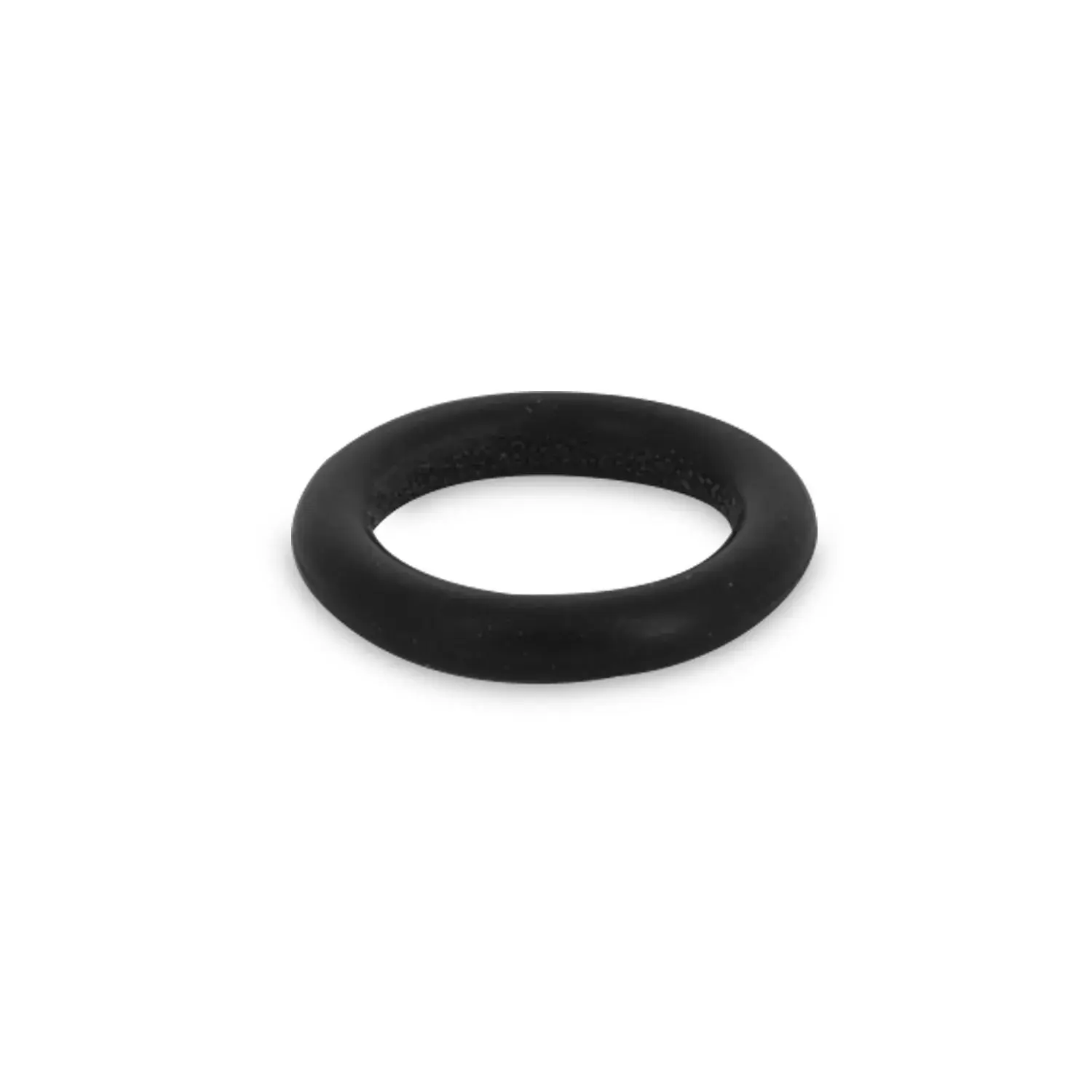O-Ring EV 2031 094594