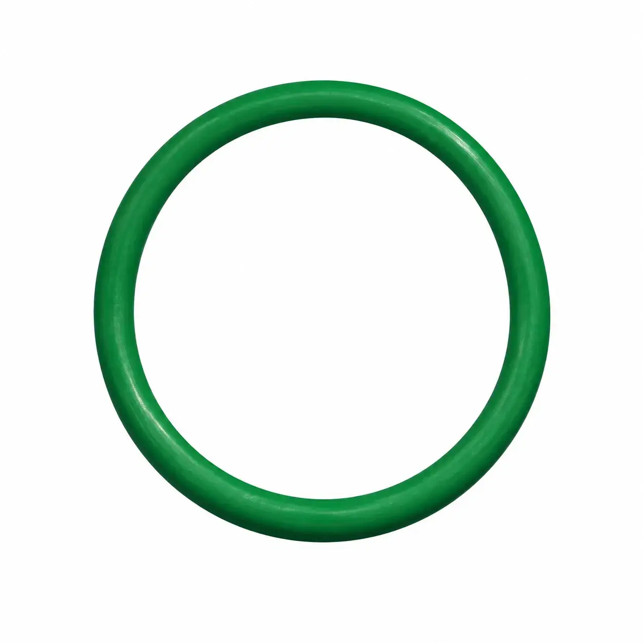 O-Ring PISTON EV 099059