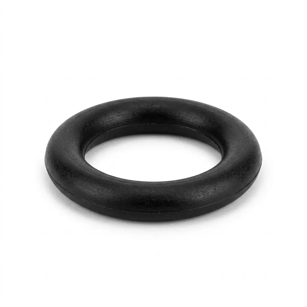 O-Ring EV 2031 094594