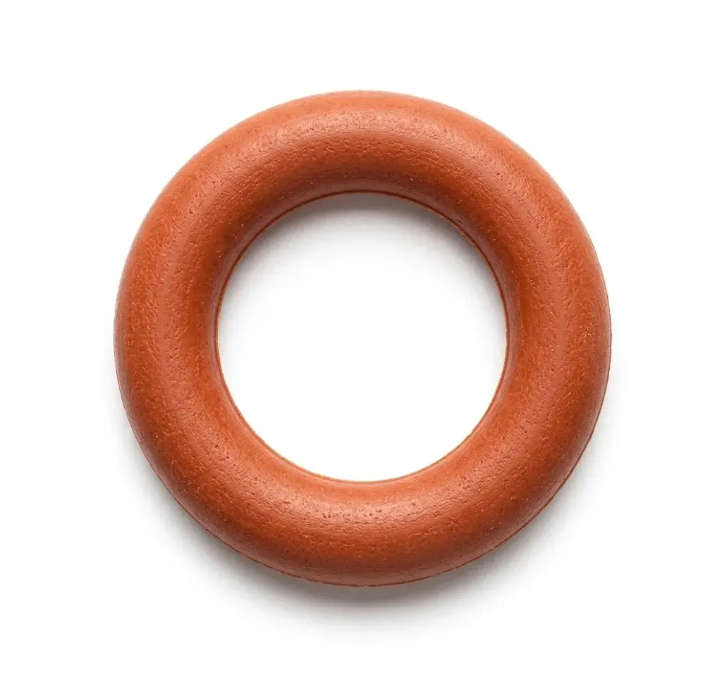 O-Ring EV 2025 252538